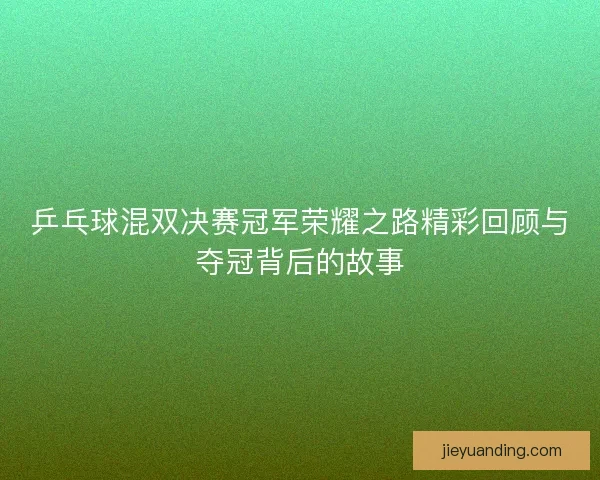 乒乓球混双决赛冠军荣耀之路精彩回顾与夺冠背后的故事