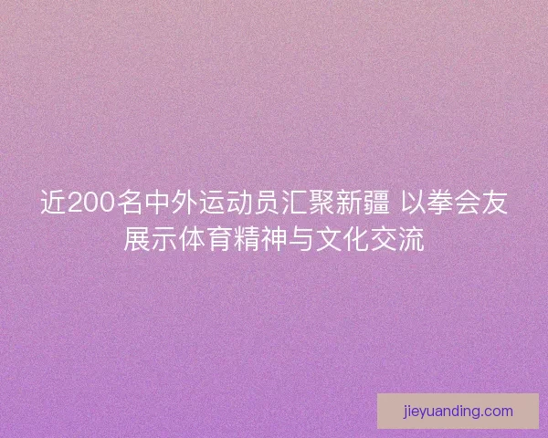 近200名中外运动员汇聚新疆 以拳会友展示体育精神与文化交流