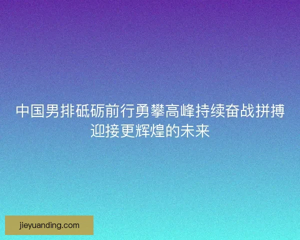 中国男排砥砺前行勇攀高峰持续奋战拼搏迎接更辉煌的未来